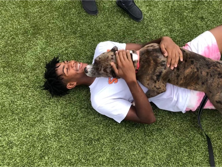 a dog hugging a student