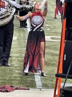 Marching Band performed at Bands of America at the dome in St. Louis on Friday.  They did us proud!