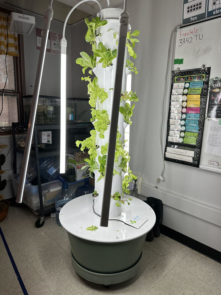 The tower garden in the corner of the classroom