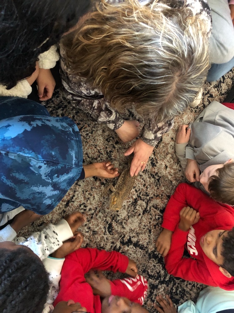 Mrs. Garner and students pet Draco Mango